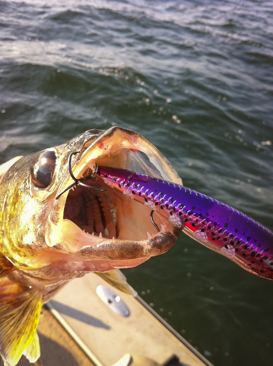 Crankbaits for Dog Days Walleyes - Lake of the Woods