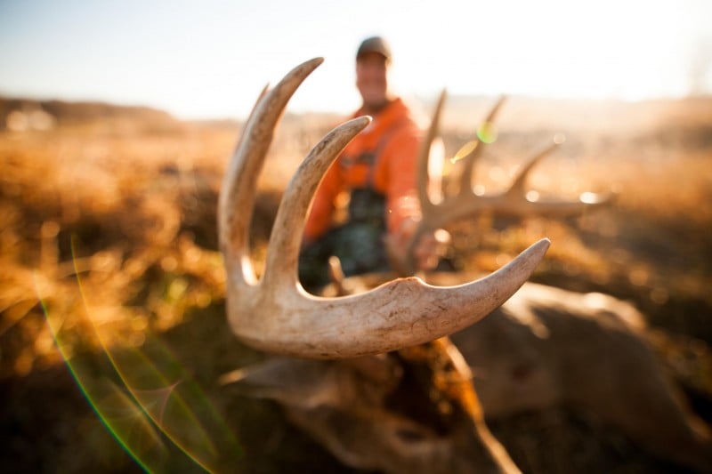 Like a fingerprint each deer is different and it's fun to get close ups of each rack.