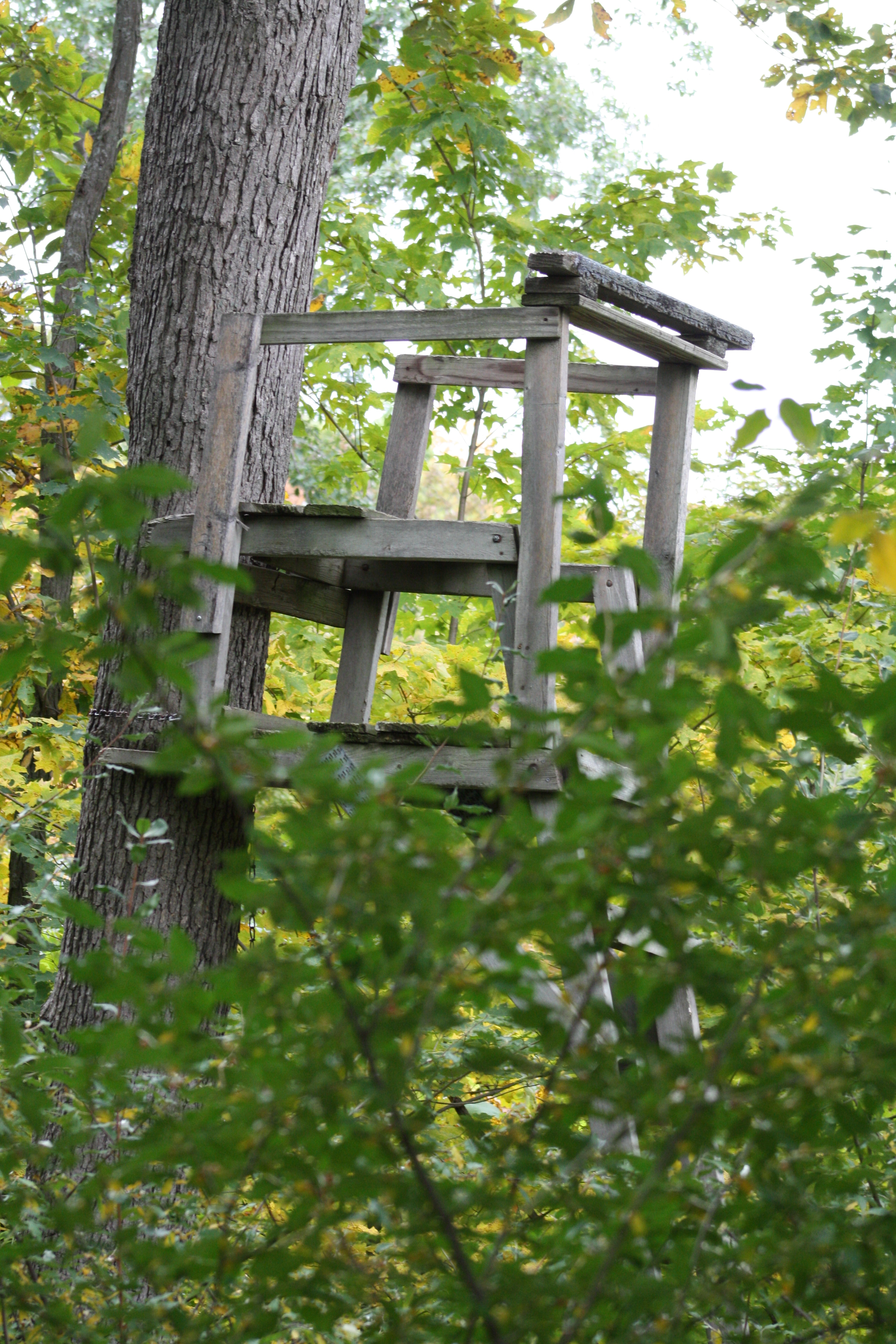 The retiring of a great wooden stand - Deer Hunting | In-Depth Outdoors