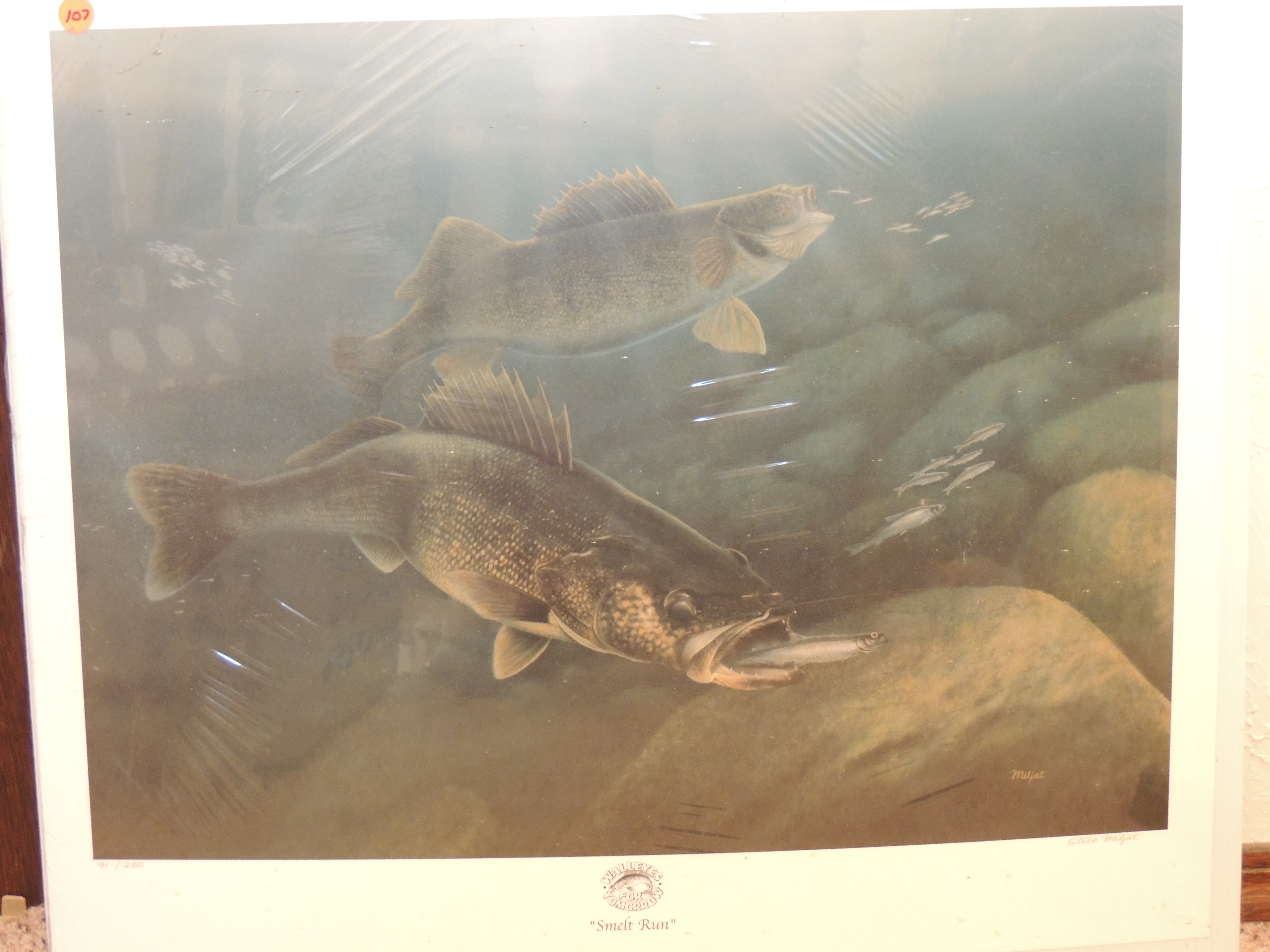 Walleye print signed and numbered - Classified Ads In 