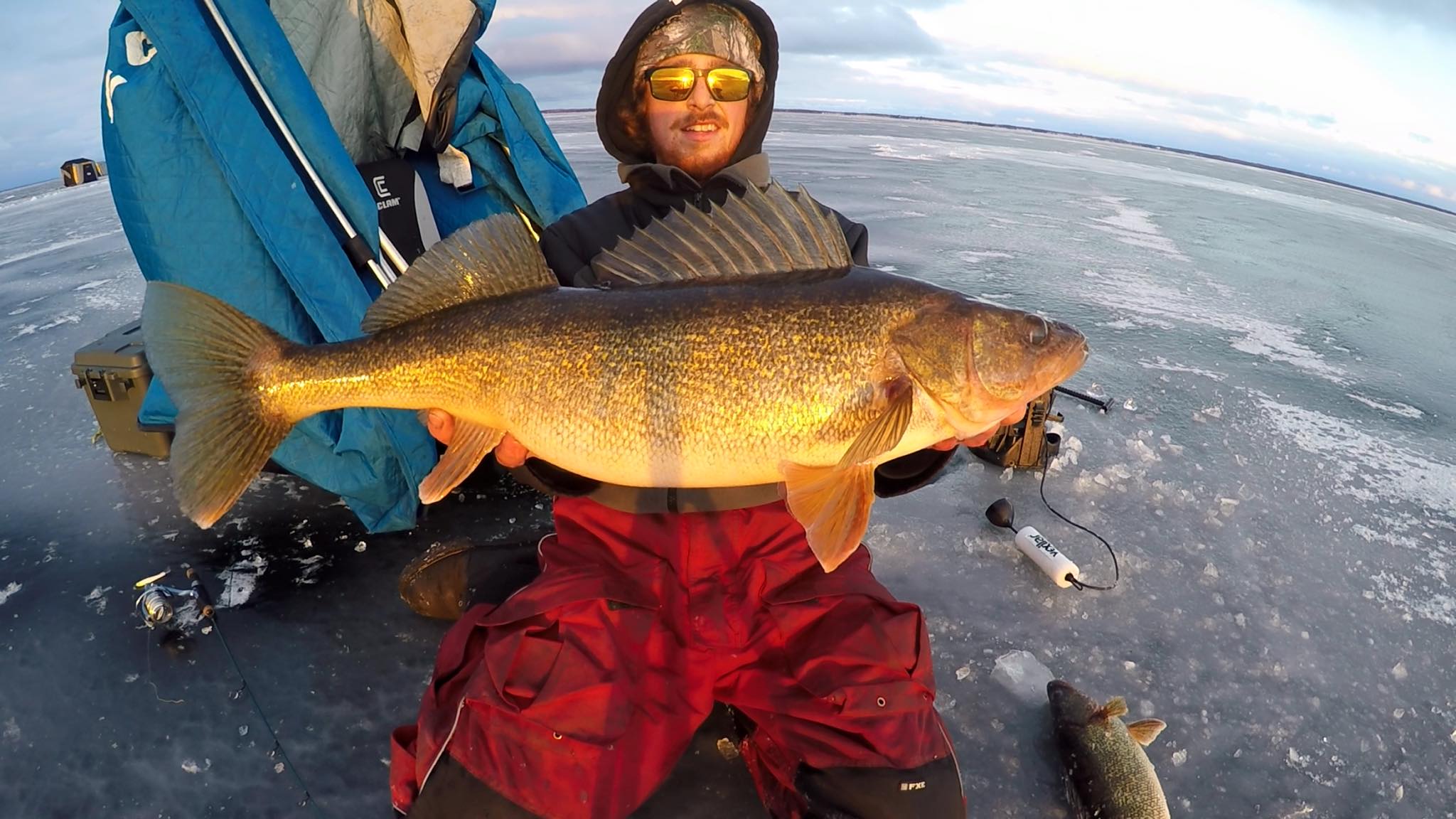 Cool new FFS baits, Jason Mitchell's night bite tricks, Lake trout
