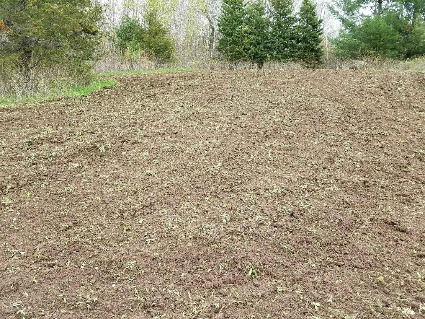 food-plots-2016-food-plots-and-wildlife-habitat-in-depth-outdoors