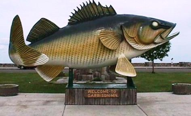 Mn dnr walleye slot limits