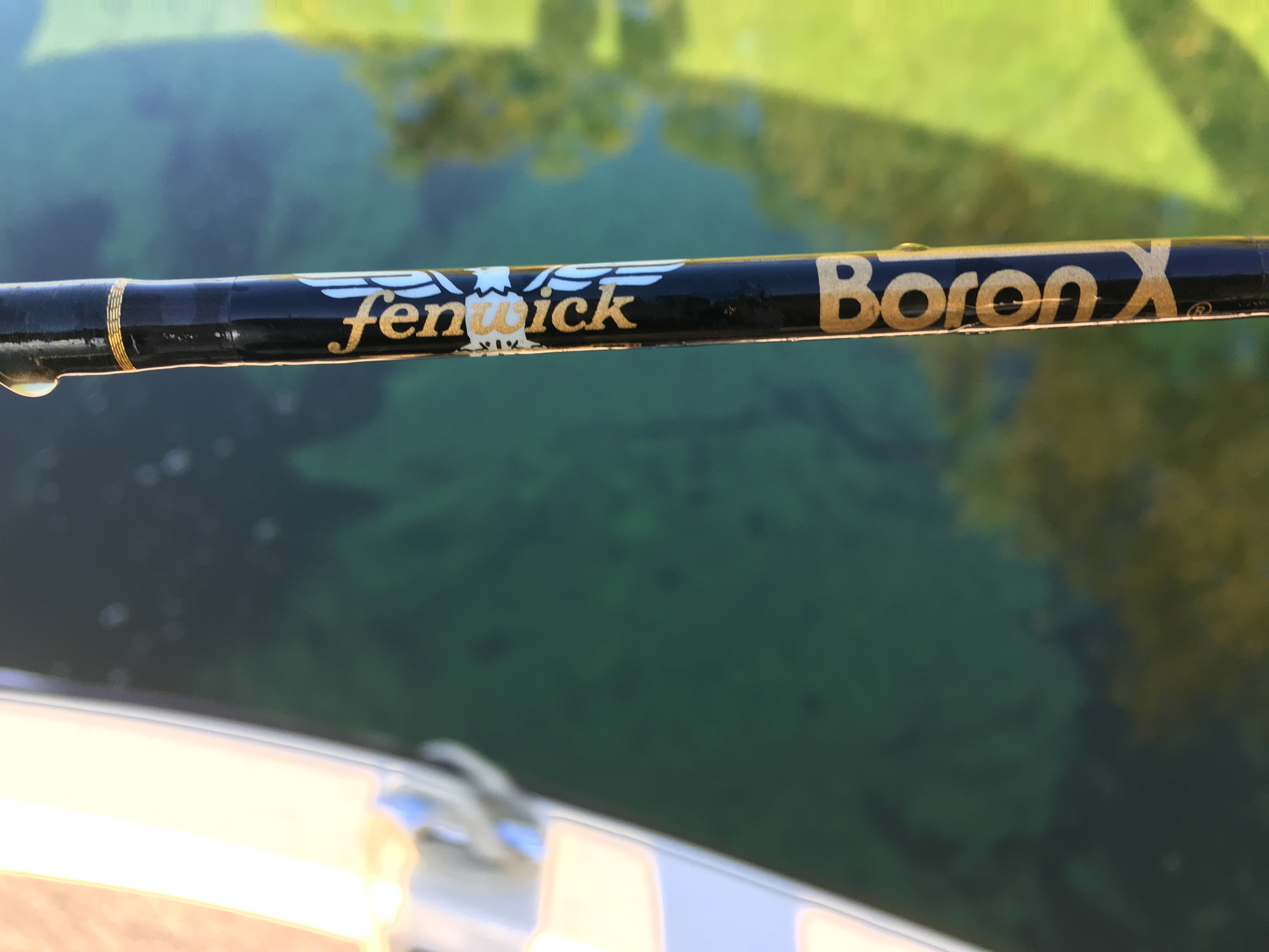Boron rods are great for twitching action and lure manipulationnice  crisp, and responsive blanks. Have you tried one yet, or do you p