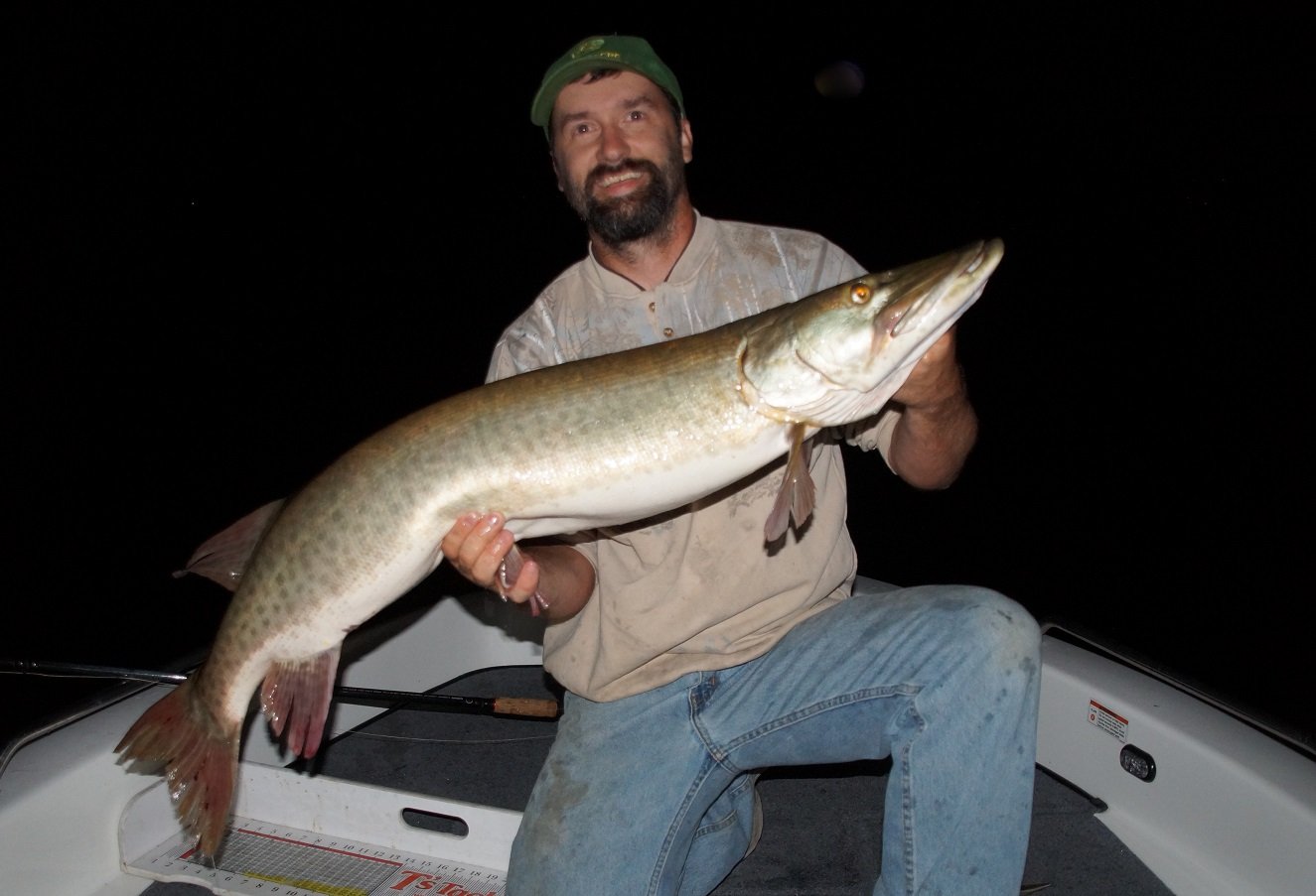 Tiger Muskie Fish Socks