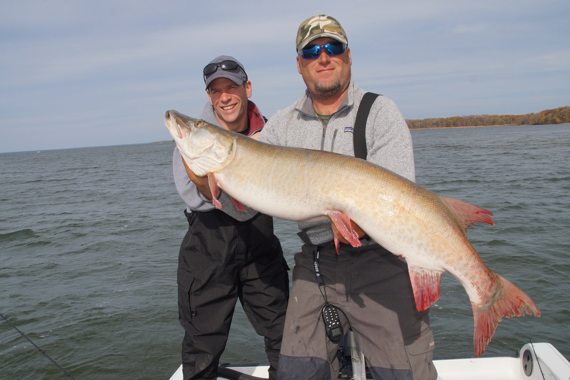 Minnesota Fall Musky Fishing!! - Leech Lake 