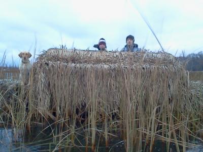 Avery RealGrass Blind Material Brown Timber Grass