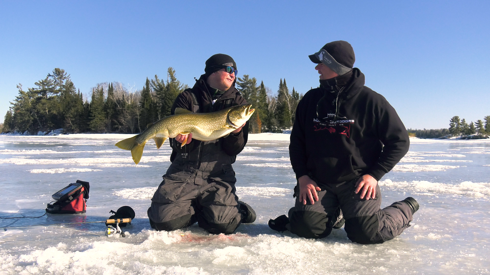 Perch | Species | In-Depth Outdoors