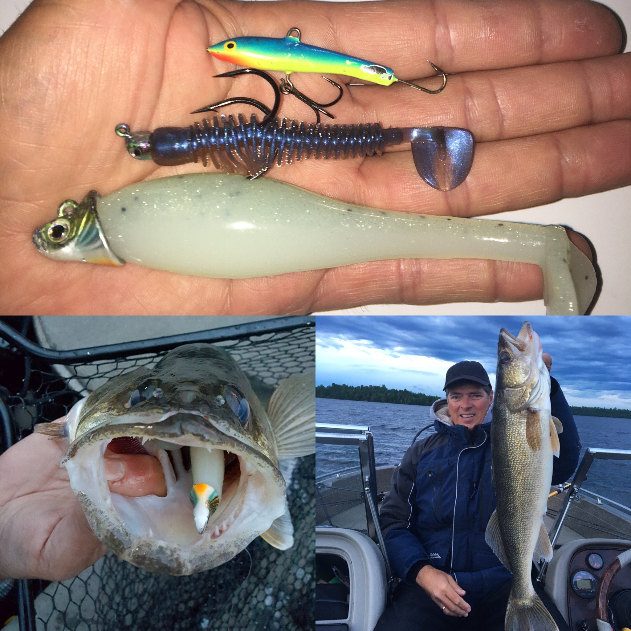 Lucky Strike Bait Works Live Series Swim Baits for Pike, Bass, Walleye, and  Musky, Designed in Canada, Soft Plastic Lures -  Canada
