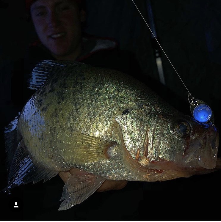 Crappie Fishing At Night What do you need? How to make Glow in
