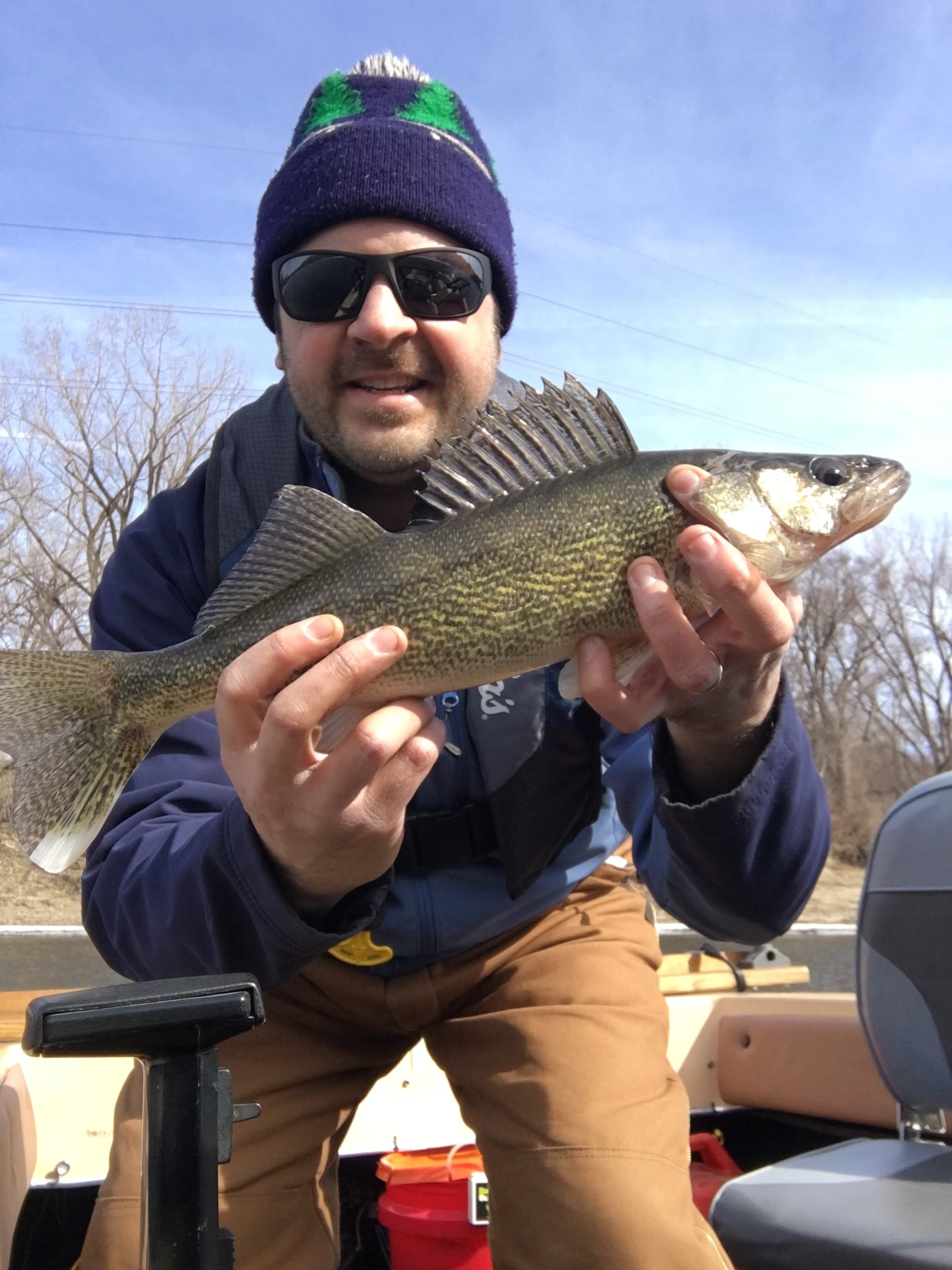 Pool 2 Walleye Mississippi River Walleye InDepth Outdoors
