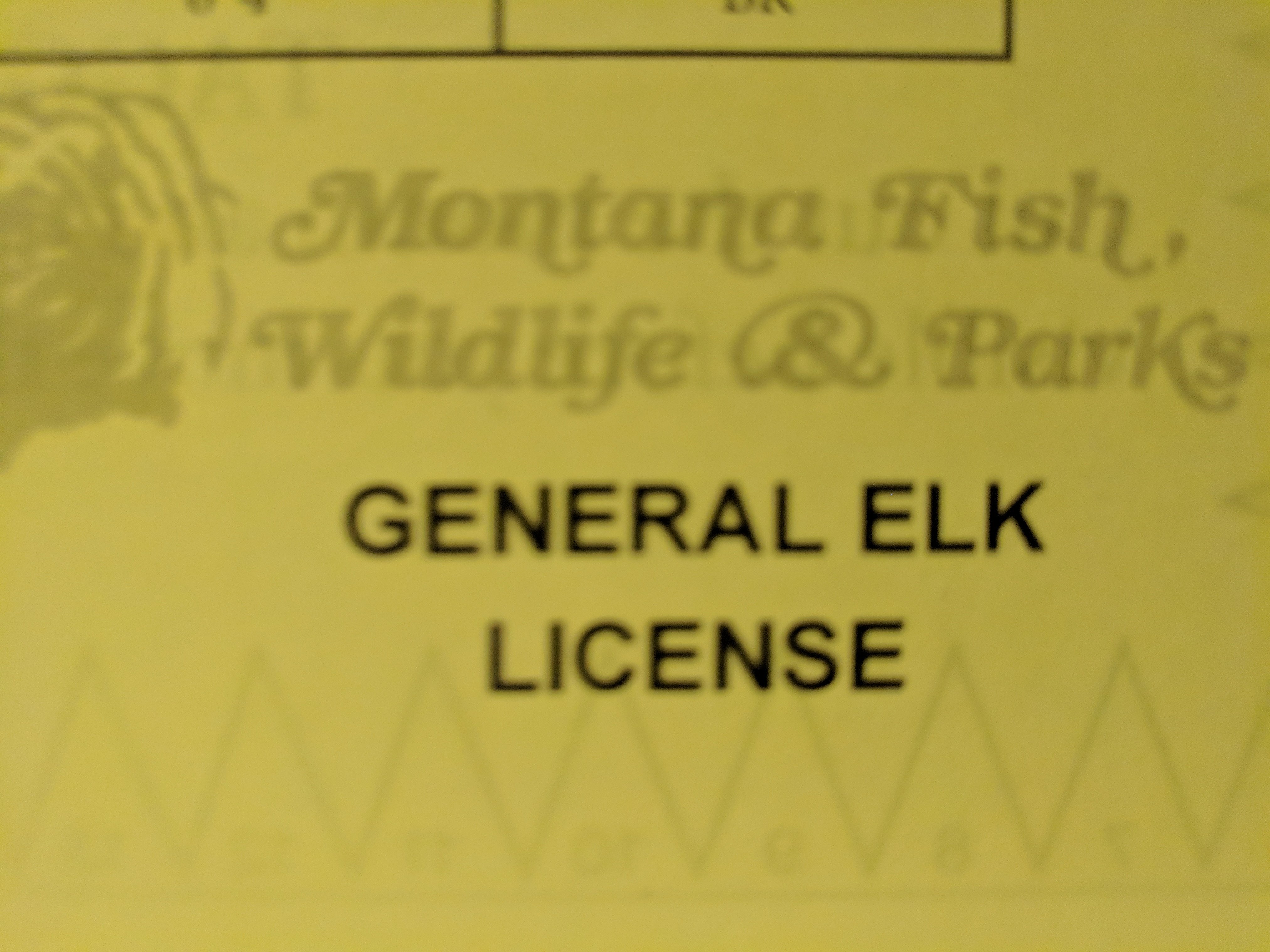 Scored a Montana Elk Permit! Big Game Hunting Elk, Moose, Caribou
