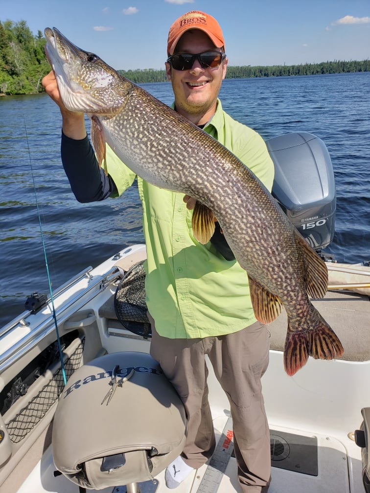 Fishing Gullrock Lake for Canadian Walleye 