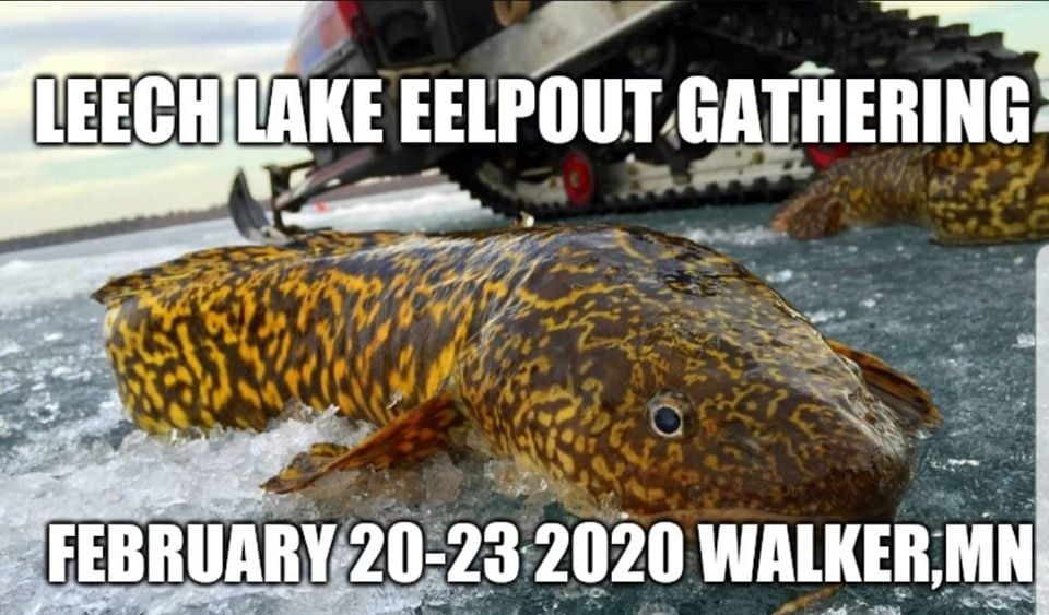 Eelpout Festival 2023 2023 Calendar