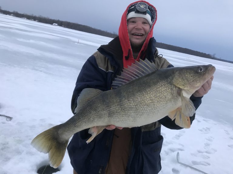 Big Vermont walleye InDepth Outdoors