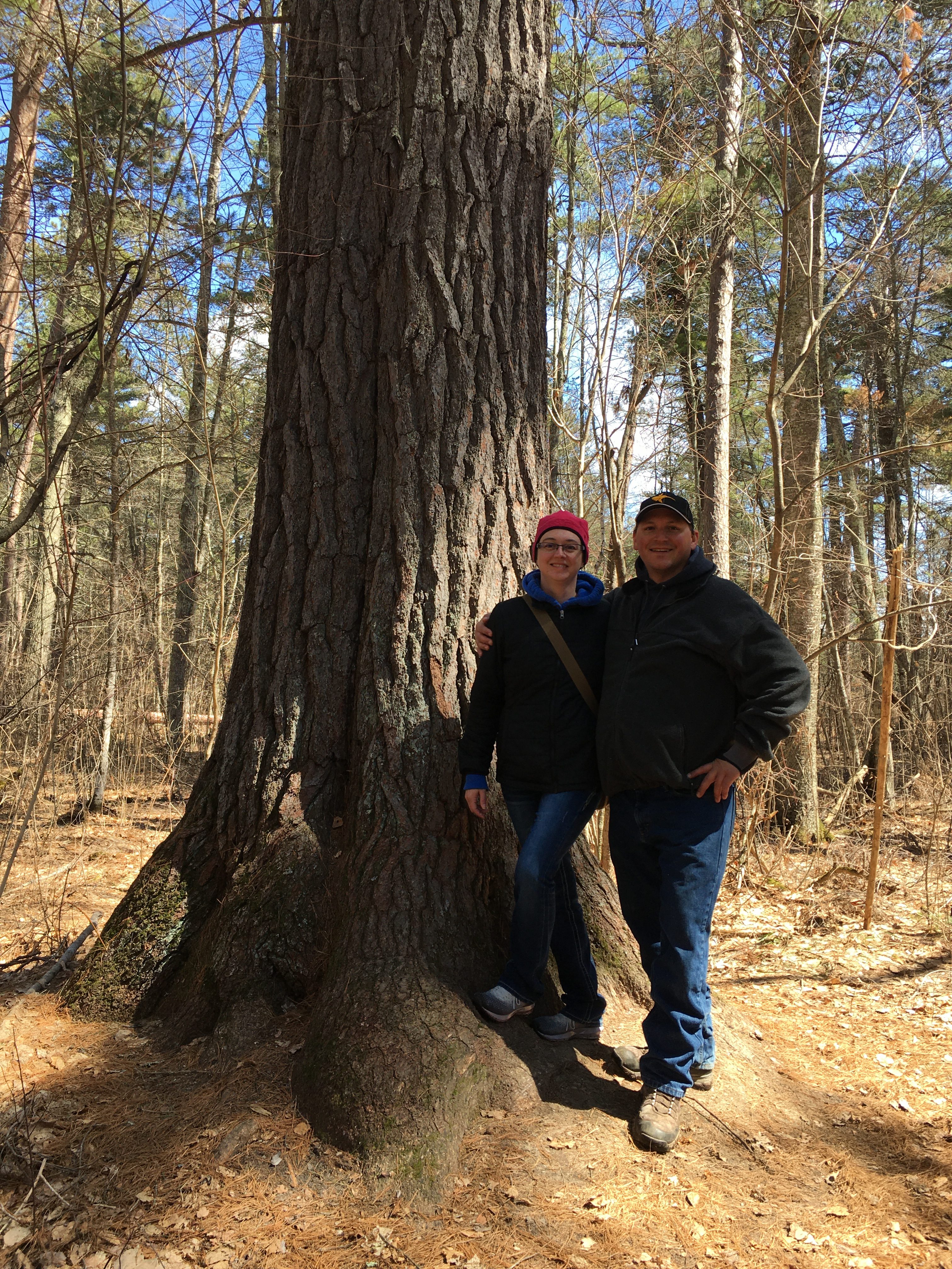 Lost 40 Minnesota: How This Pristine Forest Was Saved by a Mapping