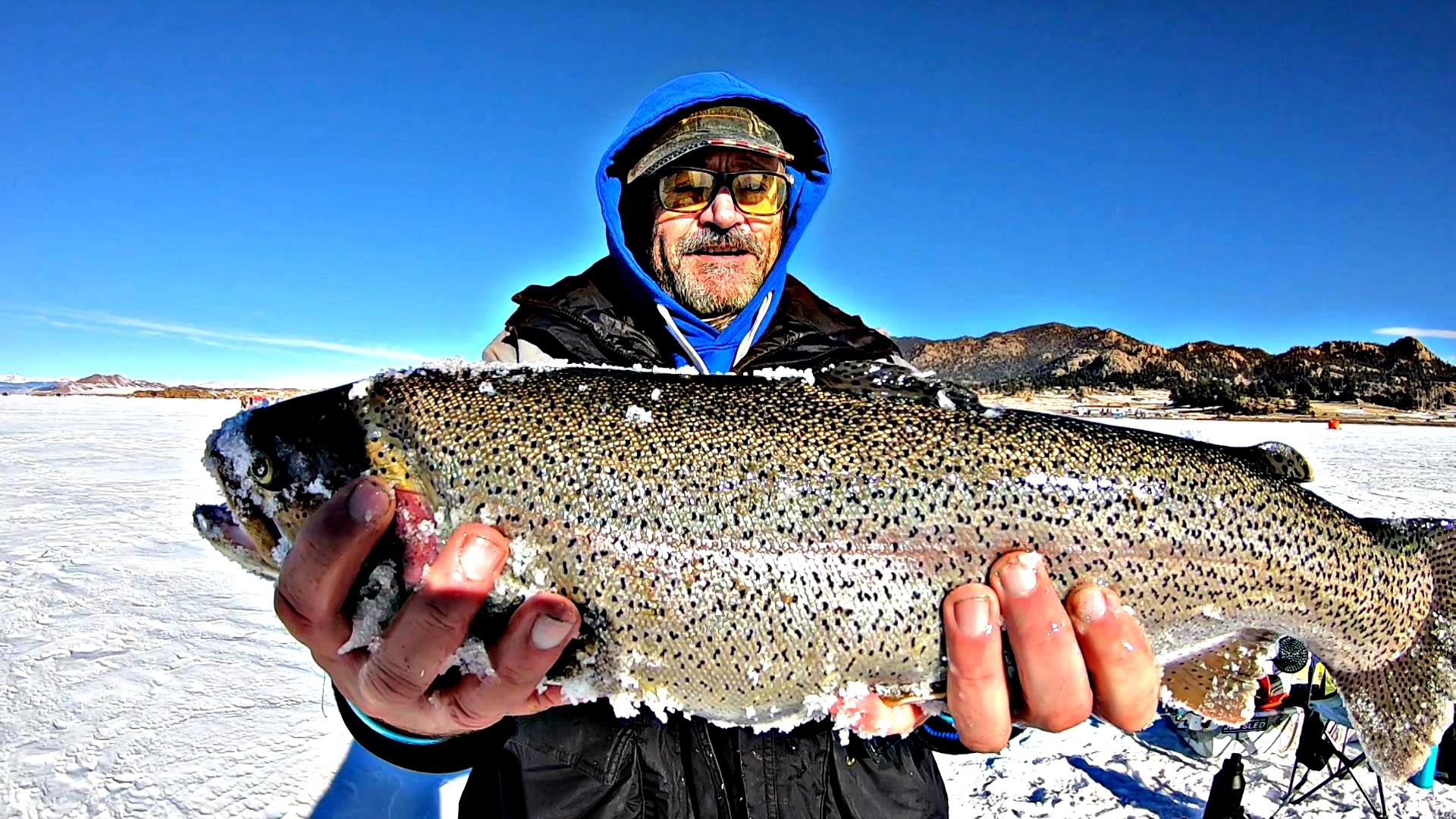 11 Mile Reservoir, BIG TROUT and BIG PIKE - Ice Fishing Forum