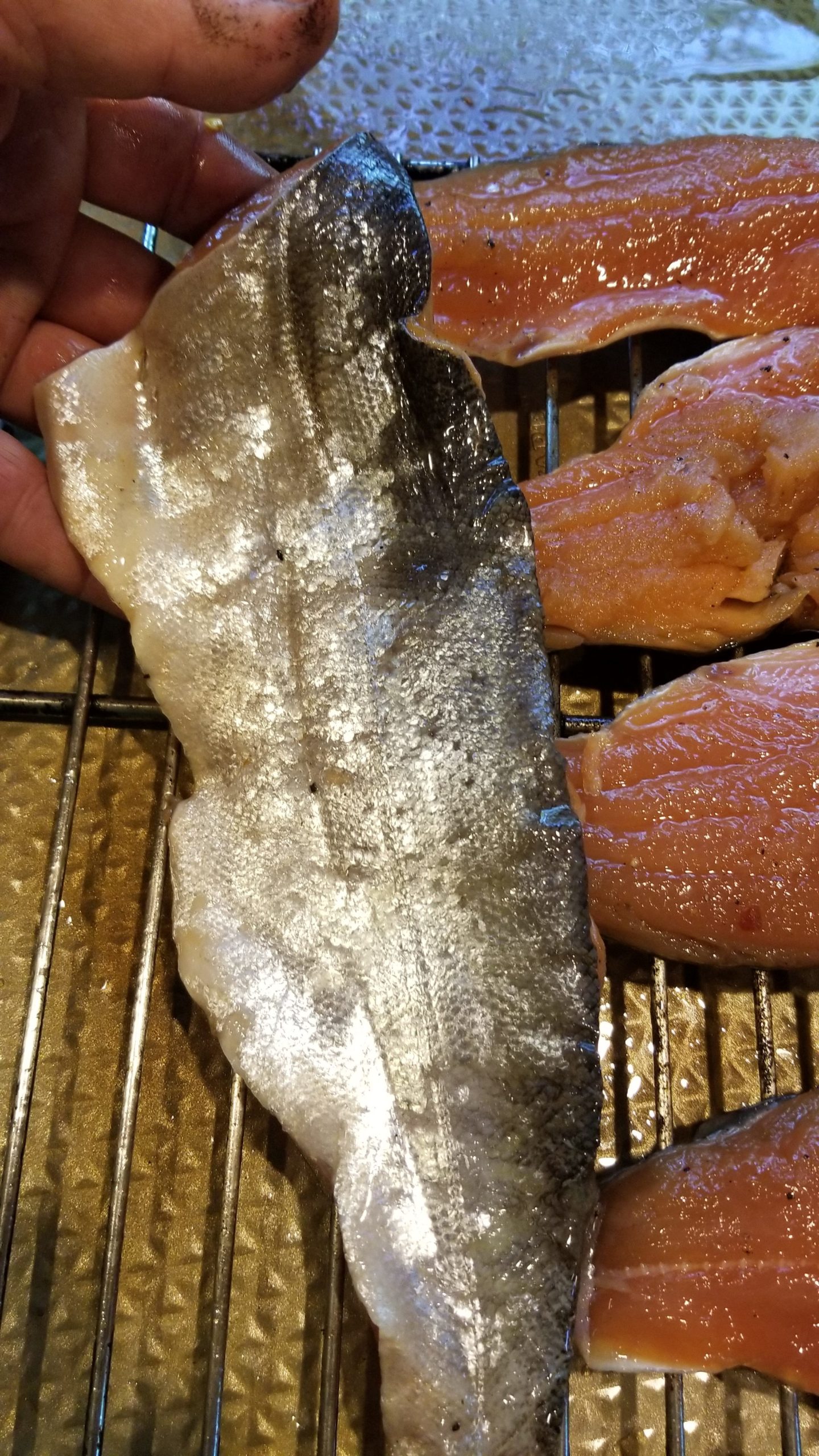 Smoked fish from Alaska. Name the species - General Discussion Forum ...