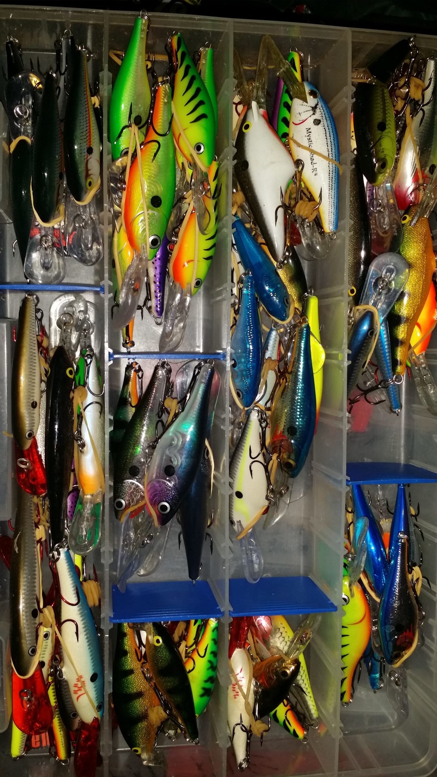 Crankbait Storage options - Fishing Tackle - Bass Fishing Forums