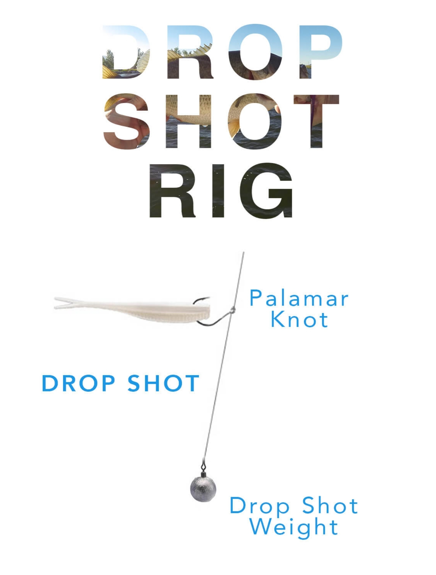 How to Ice Fish Walleye with the Drop Shot Rig