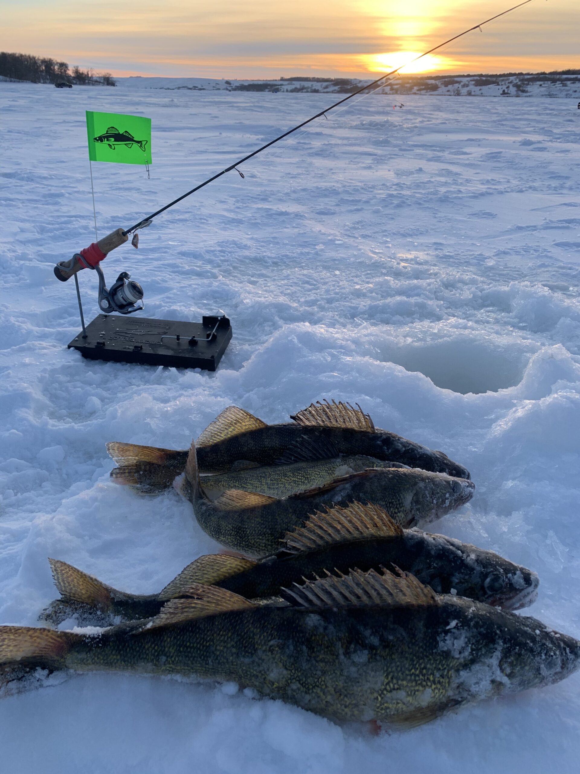 Finicky Fooler vs. I Fish Pro 2.0? - Ice Fishing Forum - Ice Fishing Forum