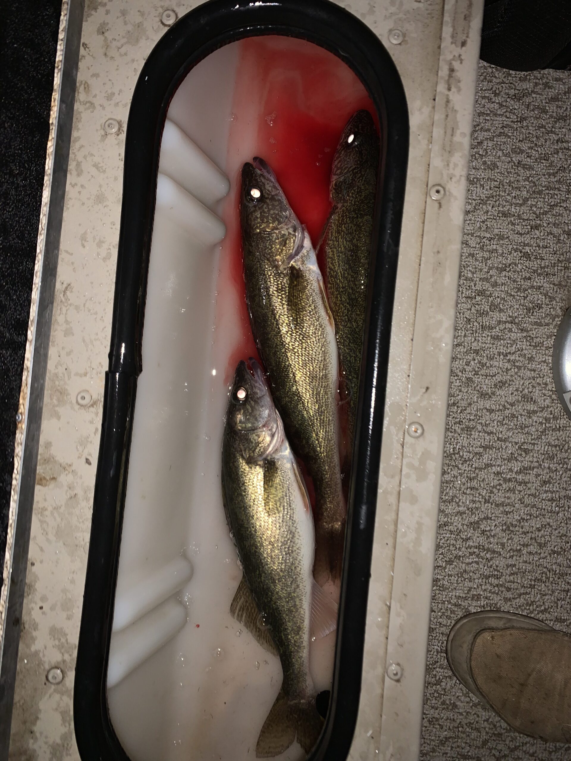 Walleye baskets - General Discussion Forum - General Discussion