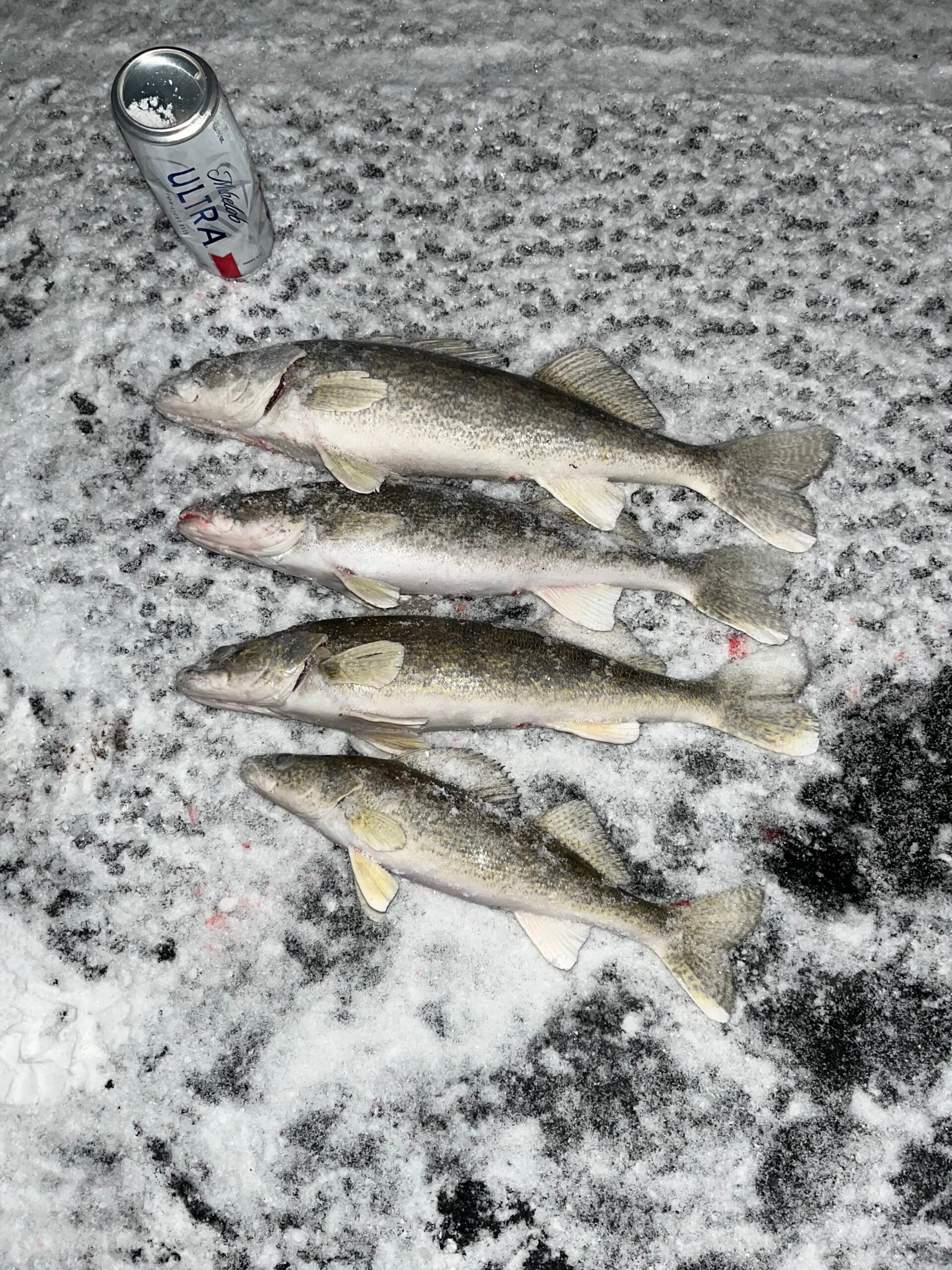 Deadstick questions - Ice Fishing Forum - Ice Fishing Forum