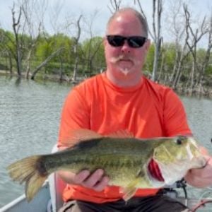Help with a new summer panfish rod choice - General Discussion Forum -  General Discussion Forum