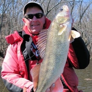 3 ways or Bottom bouncers - Mississippi River – Walleye