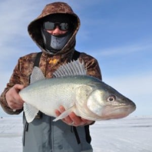 Dead Stick Suggestions - Ice Fishing Forum - Ice Fishing Forum
