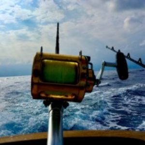 Underwater camera…is it worth it? - General Discussion Forum