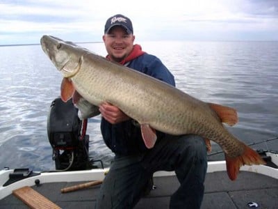 Lake of the Woods Report – August 2022 - Muskie & Pike - Muskie & Pike