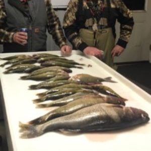 Whats your favorite lure for Walleye through the ice? - Ice Fishing Forum -  Ice Fishing Forum