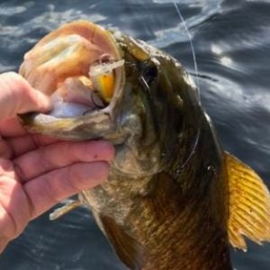 13 fishing gear - General Discussion Forum - General Discussion