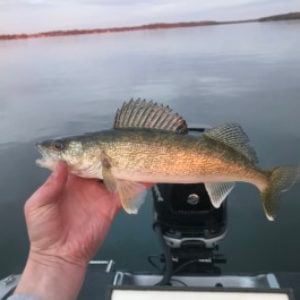 Keeping minnows from freezing all day. - Ice Fishing Forum - Ice Fishing  Forum