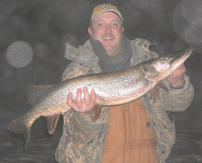 Lake Mendota walleyes - Ice Fishing Forum | In-Depth Outdoors