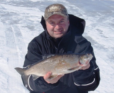 Tullibee Ice Fishing - How to Rig and Fish Cisco 