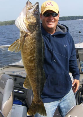 Rainy lake walleye slot sizes