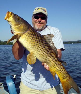 Carp Rod on the Stand on Fishing. Stock Image - Image of catch, summer:  263077799