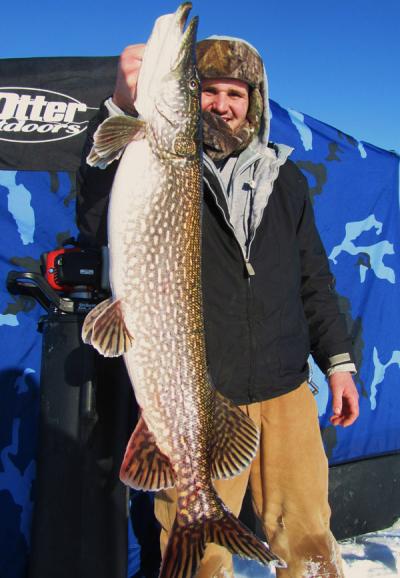 How To Use Dead Bait To Catch Northern Pike Northern, 52% OFF