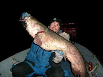 Fish of the Week: Big surprise of a flathead catfish while fishing