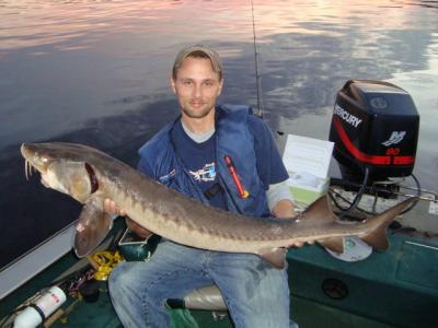 Sturgeon Fishing on the St. Croix: What you need to know to catch