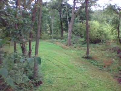 Tree stand Photos Deer Hunting Deer Hunting In Depth Outdoors