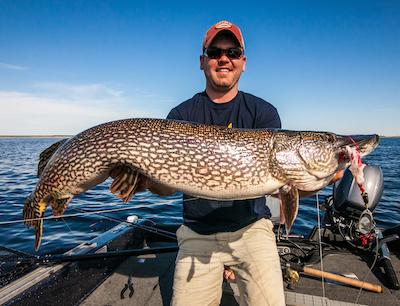 Lunker Pike on Lake of the Woods Report - Fishing Reports