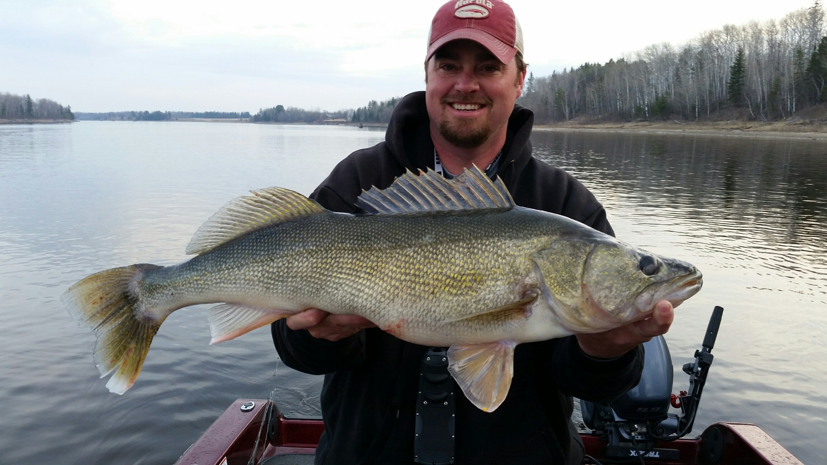 Walleyes - Fishing Reports by Species - Page 2 | In-Depth Outdoors